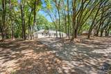 23972 Grant Drive - Photo 5