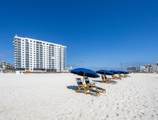 25800 Perdido Beach Boulevard - Photo 50