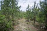 0 Phillipsville Road - Photo 18