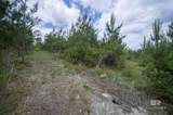 0 Phillipsville Road - Photo 19