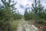 0 Phillipsville Road - Photo 20