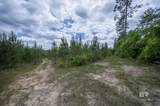 0 Phillipsville Road - Photo 23