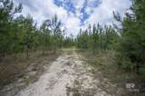 0 Phillipsville Road - Photo 24
