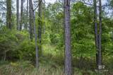 0 Phillipsville Road - Photo 16