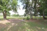 14284 Magnolia Creek Drive - Photo 2