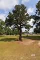14284 Magnolia Creek Drive - Photo 20