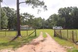 14284 Magnolia Creek Drive - Photo 4