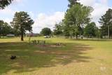 14284 Magnolia Creek Drive - Photo 9