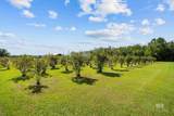 21756 Koier Road - Photo 66