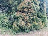 1510 Northview Drive - Photo 7
