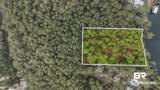 33577 Browns Landing Rd Extension - Photo 8