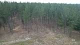 0 Ronald Sanks Road - Photo 14