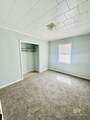 226 Elizabeth Street - Photo 29