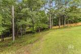35814 Delvan Lane - Photo 55