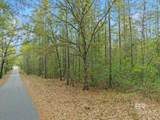 0 Tom Shivers Road - Photo 2
