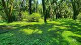 21310 Rolling Oaks Drive - Photo 11