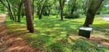21310 Rolling Oaks Drive - Photo 2