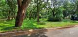 21310 Rolling Oaks Drive - Photo 4