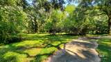 21310 Rolling Oaks Drive - Photo 7