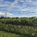 0 Brooklyn Road - Photo 2