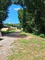 33003 Albert Hollon Lane - Photo 11