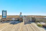 25805 Perdido Beach Boulevard - Photo 50