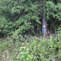 1210 Blessed Way - Photo 36
