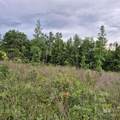 1210 Blessed Way - Photo 38