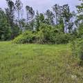 1210 Blessed Way - Photo 39