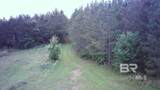 1210 Blessed Way - Photo 41
