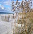 28760 Perdido Beach Boulevard - Photo 31