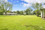 13095 Mary Ann Beach Road - Photo 37