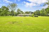 13095 Mary Ann Beach Road - Photo 47