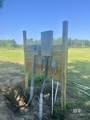 27528 Krehling Road - Photo 42