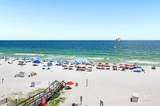 13817 Perdido Key Drive - Photo 11