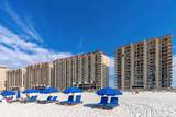 24230 Perdido Beach Boulevard - Photo 2