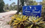 8948 Bluefish Drive - Photo 4