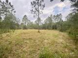 21305 River Road - Photo 19