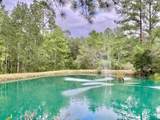 21305 River Road - Photo 2