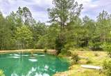 21305 River Road - Photo 20