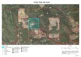 21305 River Road - Photo 34