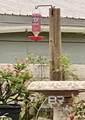 21305 River Road - Photo 4