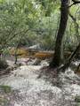 21305 River Road - Photo 47