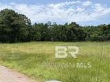 16818 Patricia Drive - Photo 11