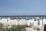 26802 Perdido Beach Boulevard - Photo 46