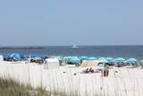 26802 Perdido Beach Boulevard - Photo 50