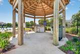 24815 Spectacular Bid Loop - Photo 41