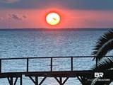 710 Mobile Street - Photo 50