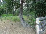 29863 County Road 87 - Photo 4