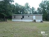 29863 County Road 87 - Photo 6
